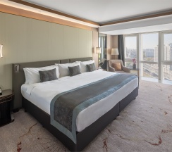 Бизнес Премиум Супер Кинг в Soluxe Hotel Moscow
