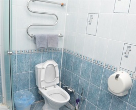 Двухместный номер «Стандарт» в Алая Роза