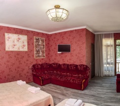 Четырёхместный номер Standard с балконом и с красивым видом из окна в Abaash Hotel Afon