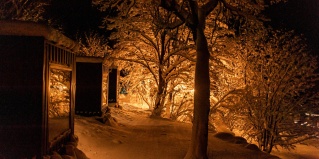 Мельниково: Турбаза Уютные Ёлы