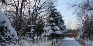 Владивосток: Отель Союз