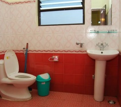 Одноместный номер Standard в Butterfly Lodge