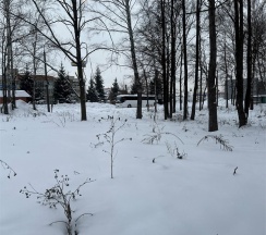 Номер Первой Категории (Особняк) в Русская деревня