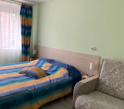 Номер люкс с 1 двуспальной кроватью в Бизнес-Визит