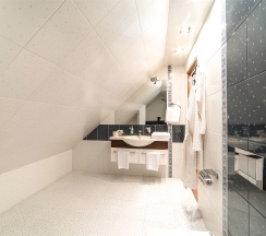 Президентский в Каркушин дом