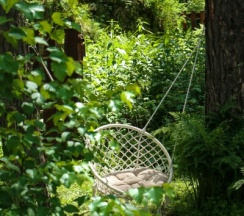 Купол в Royal Forest