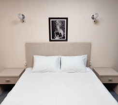 Номер комфорт с 1 двуспальной кроватью в Smart Hotel KDO Тюмень