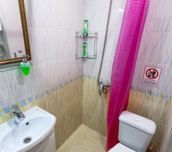 4 Одноместный номер(стандарт),с двухспальной кроватью. в Аппартамент