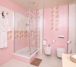 Люкс №9 в Классик