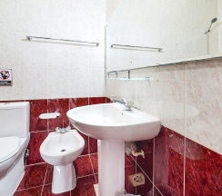 Одноместный номер Standard в OYO 120 Concord International Hotel