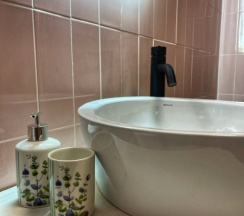 Фазенда ботаника в Тованово