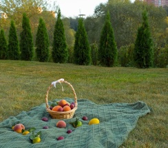 3-местные 1-комнатные апартаменты люкс г.Троицк, Прибрежная 17 в Дом у реки