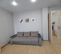 1-комнатные апартаменты улучшенные в Centre (Центр) на улице Харьковская