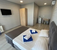 2-местная комната стандарт в Притяжение