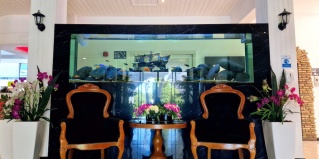 Ороклини: Отель Sveltos Hotel