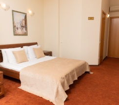 Двухместный номер Standard двуспальная кровать в Соната на Маяковского