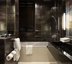 Номер Premuim с видом на город в Radisson Соня