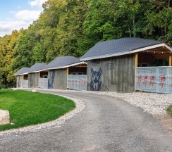 Деревня викингов в Odin House