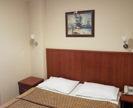 Одноместный номер Standard с балконом в Seckin Ak Hotel