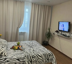 Двухместные апартаменты c 1 комнатой с балконом и с красивым видом из окна (двуспальная кровать) в Апартаменты 1-комнатные с видом на Волгу (Бухта)