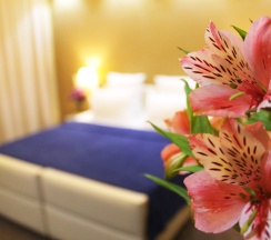 Номер Standard в Отель Panorama ECO-Hotel