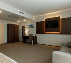 Junior Suite + в Baikal Forest