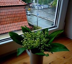 2-местный номер студия (мансарда) в Апарт-отель