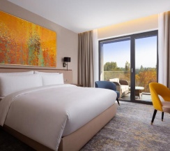 Двухместный номер Classic с видом на горы двуспальная кровать в Swissotel Wellness Resort Alatau Almaty