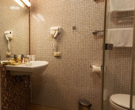 Номер стандарт с 1 двуспальной кроватью в Hotel Kirov