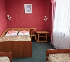 Люкс в Загородная
