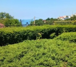 Апартаменты с красивым видом из окна в Горная лаванда