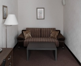 Стандарт  двухместный (вид на лес) в Парк Отель