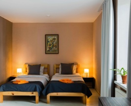 Двухместный номер Standard 2 отдельные кровати в Добрый лось