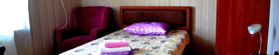 1-местный номер в Петровскъ