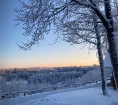 Желто-лимонный дом 4+2 на первой линии в Усадьба Пан Фазан