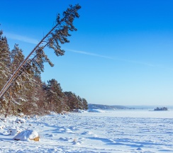 Дом в Lberry Karelia