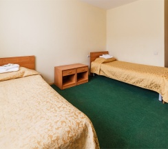 Стандарт двухместный с 2 раздельными кроватями в Металлург