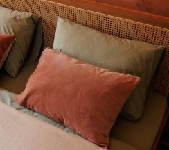 2-комнатный номер студия премиум Артишок в Casa Del Sole