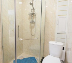 Номер полулюкс с 1 двуспальной кроватью в Звездная