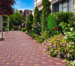 КОМФОРТ в Tesoro