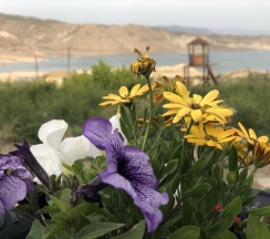 Вилла Deluxe в Sky Canyon