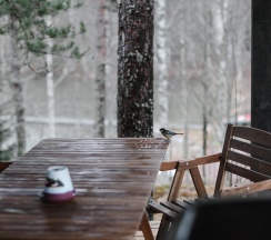 Коттедж премиум (Зелёный дом) в Forrest Lodge Karelia