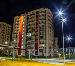 Абрикос 244 в Neoroom Service