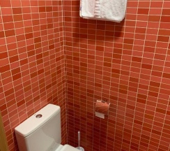 Одноместный номер Superior в Hostal Falfes
