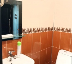 МАЛЕНЬКИЙ 2-местный со ВСЕМИ удобствами (старый номерной фонд) в MaxxRoyal