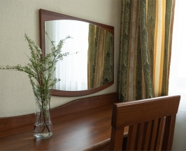 Одноместный номер "Стандарт" в Булак