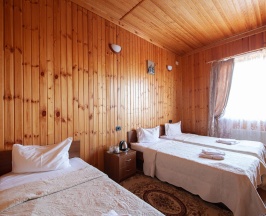 3-местный номер стандарт (с завтраком) в Kaskad house