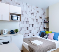 1-комнатные апартаменты эконом с 1 двуспальной кроватью (без окна) в Prim Rooms Apt Apartments (Прим Румс Апт Апартментс)