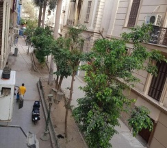 Одноместный номер Standard (односпальная кровать) в Отель Cairo