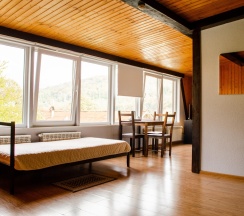 Номер комфорт (мансарда) в Альпийский двор